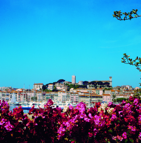 Foto - Cannes - Cannes Riviera ****