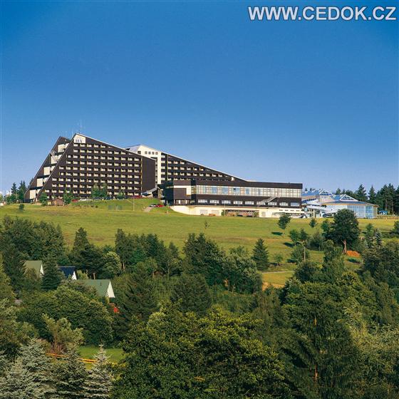 Hotel IFA Schöneck Hotel & Ferienpark
